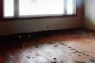 465 Tipple Rd, Carrier Mills, IL 62917 - Photo 2