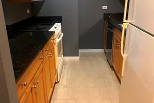 400 N Lasalle Blvd, Chicago, IL 60654 - Photo 4