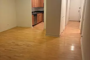 30 E Huron St, Chicago, IL 60611 - Photo 10