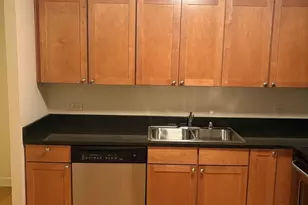 30 E Huron St, Chicago, IL 60611 - Photo 6