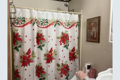 809 Thompson Avenue, Winthrop Harbor, IL 60096 - Photo 10