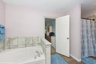 11061 Bayou Ct, Huntley, IL 60142 - Photo 18