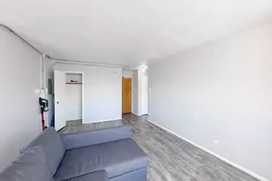 7333 N Ridge Blvd, Chicago, IL 60645 - Photo 14