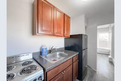 7333 N Ridge Boulevard #509, Chicago, IL 60645 - Photo 4