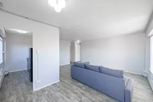 7333 N Ridge Blvd, Chicago, IL 60645 - Photo 10