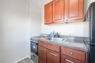 7333 N Ridge Blvd, Chicago, IL 60645 - Photo 6