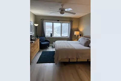 1349 E Washington Street #404, Des Plaines, IL 60016 - Photo 30