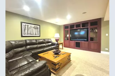 22648 Maddeline Lane, Frankfort, IL 60423 - Photo 50