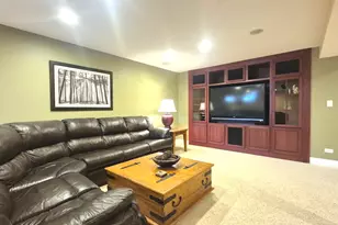 22648 Maddeline Ln, Frankfort, IL 60423 - Photo 50