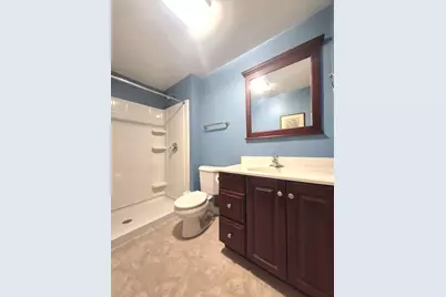 22648 Maddeline Lane, Frankfort, IL 60423 - Photo 62