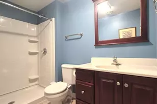 22648 Maddeline Ln, Frankfort, IL 60423 - Photo 62