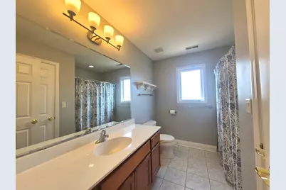 22648 Maddeline Lane, Frankfort, IL 60423 - Photo 46