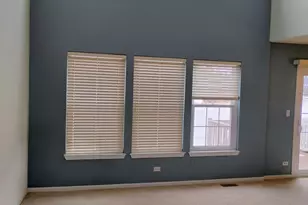 1783 Briggs Ct, Lisle, IL 60532 - Photo 14