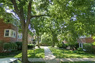 907 Austin St, Evanston, IL 60202 - Photo 8