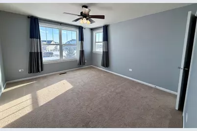 3907 Nannyberry Street, Naperville, IL 60564 - Photo 26