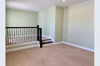 3907 Nannyberry Street, Naperville, IL 60564 - Photo 20