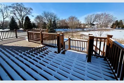 3907 Nannyberry Street, Naperville, IL 60564 - Photo 36