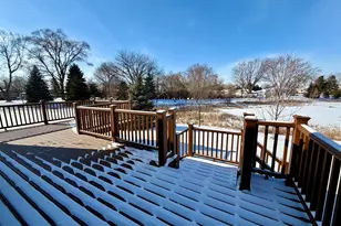 3907 Nannyberry St, Naperville, IL 60564 - Photo 36