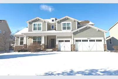 3907 Nannyberry Street, Naperville, IL 60564 - Photo 2