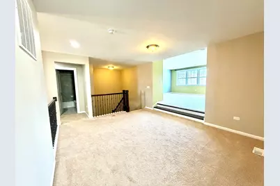 3907 Nannyberry Street, Naperville, IL 60564 - Photo 28