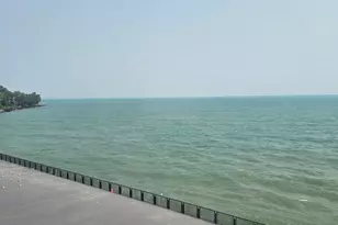 7337 S South Shore Dr, Chicago, IL 60649 - Photo 14