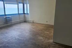 7337 S South Shore Dr, Chicago, IL 60649 - Photo 10