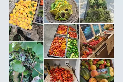 404 Caesar Parcel#2 Drive, Barrington, IL 60010 - Photo 30