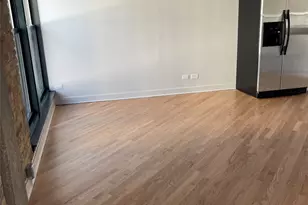 411 W Ontario St, Chicago, IL 60654 - Photo 4