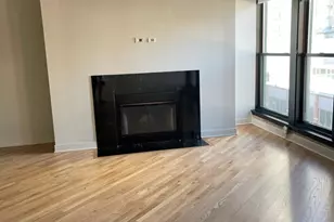 411 W Ontario St, Chicago, IL 60654 - Photo 2