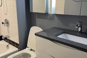 411 W Ontario St, Chicago, IL 60654 - Photo 10