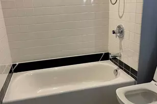 411 W Ontario St, Chicago, IL 60654 - Photo 12