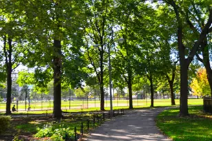 3106 S Wells St, Chicago, IL 60616 - Photo 14