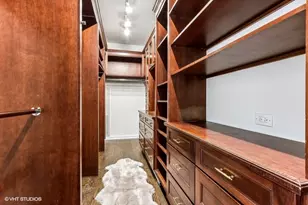 1335 S Prairie Ave, Chicago, IL 60605 - Photo 40