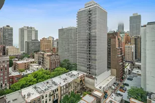 21 W Goethe St, Chicago, IL 60610 - Photo 16