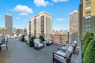 1000 N Lake Shore Dr, Chicago, IL 60611 - Photo 20
