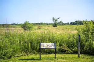 123 Cornerstone Xing, Hampshire, IL 60140 - Photo 64