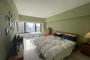 175 E Delaware Pl, Chicago, IL 60611 - Photo 20