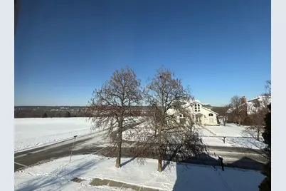 1004 Saddle Lane, Lemont, IL 60439 - Photo 30