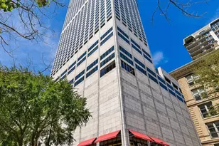 180 E Pearson St, Chicago, IL 60611 - Photo 36