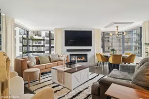 401 E Ontario St, Chicago, IL 60611 - Photo 6