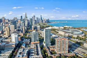 1629 S Prairie Ave, Chicago, IL 60616 - Photo 28