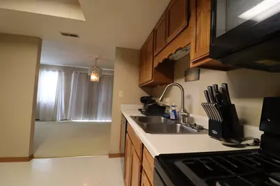 18 Forest Wood Lane, Park Forest, IL 60466 - Photo 12