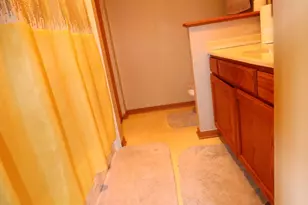 18 Forest Wood Ln, Park Forest, IL 60466 - Photo 24