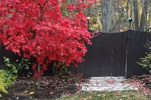 724 Ridge Rd, Lemont, IL 60439 - Photo 4