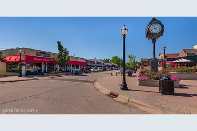 71 N Williams Street, Crystal Lake, IL 60014 - Photo 36