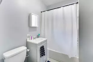 810 S Austin Ave, Oak Park, IL 60302 - Photo 32