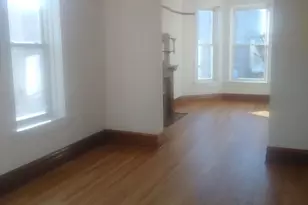 3013 S Wells St, Chicago, IL 60616 - Photo 2