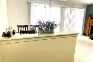 20 Ashburn Ct, Schaumburg, IL 60193 - Photo 10