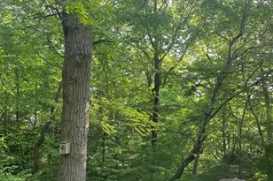 1214 Woodland Ct, Joliet, IL 60436 - Photo 22