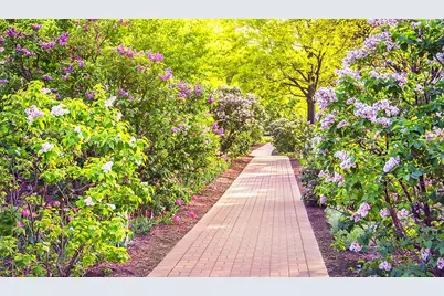 31 E Grove Street #501, Lombard, IL 60148 - Photo 20